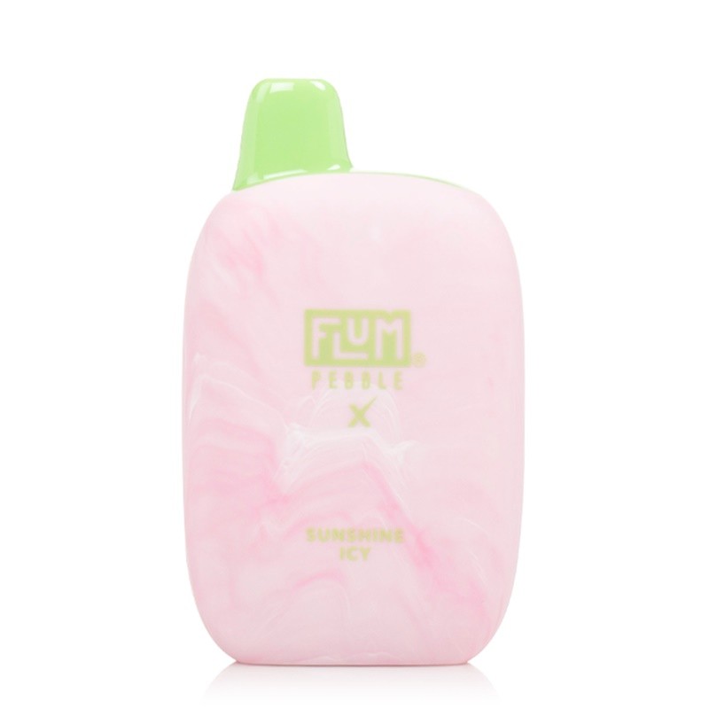 Flum Pebble X 6000 Puffs Disposable Vape - 14ML