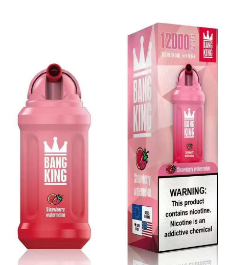 Bang King 12000 Puffs Disposable Vape 12k Kit