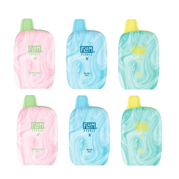 Flum Pebble X 6000 Puffs Disposable Vape - 14ML